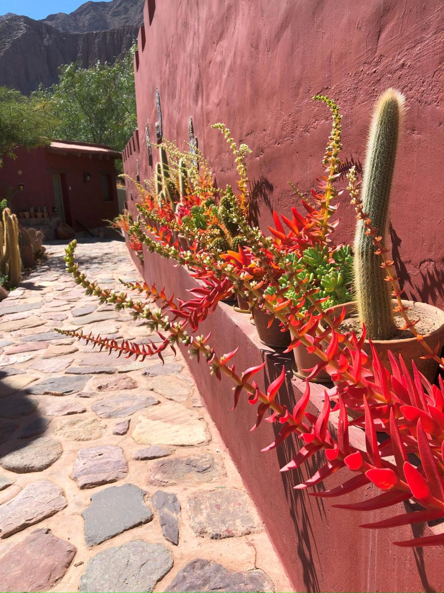 Bed and Breakfast Posta De Purmamarca Exterior foto