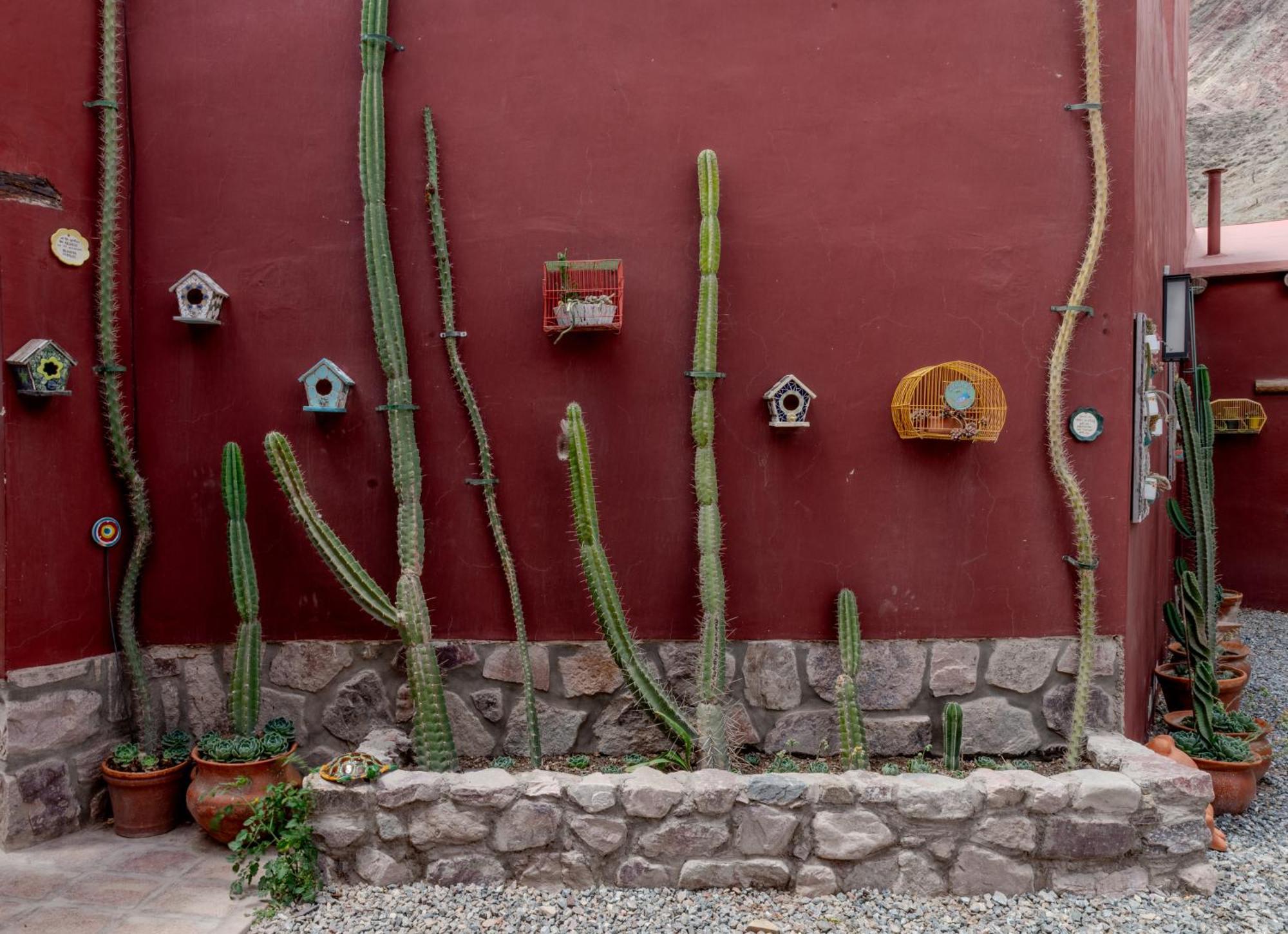 Bed and Breakfast Posta De Purmamarca Exterior foto