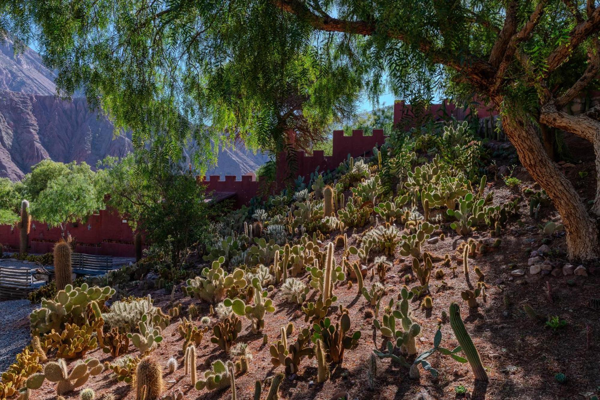 Bed and Breakfast Posta De Purmamarca Exterior foto