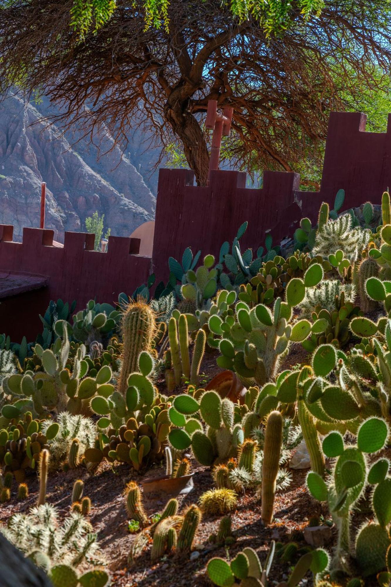 Bed and Breakfast Posta De Purmamarca Exterior foto